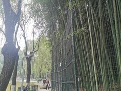 -西安市长乐公园