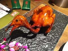-大鸽饭(岗顶店)