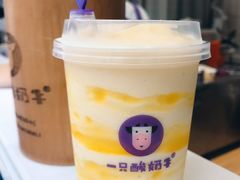 -一只酸奶牛(八一路店)