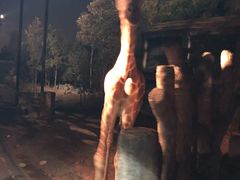 -清迈夜间动物园