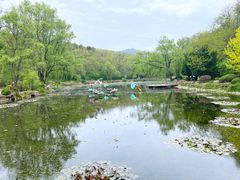 -棒棰岛宾馆景区