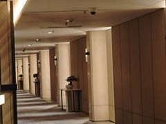 -东方美谷JW万豪酒店·The lounge大堂吧