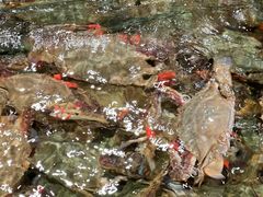 -天天渔港(杏林街店)