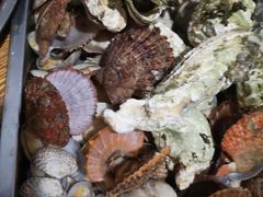 -前王院•巧克力海鲜市集餐厅(万平口店)