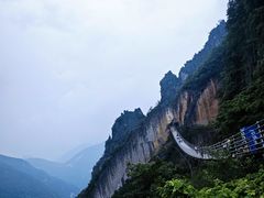 -武陵山森林公园