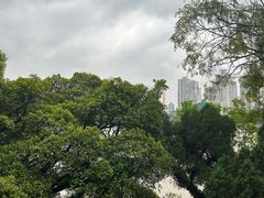 -江心屿景区