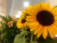 -FLOVIE FLORIST CAFE