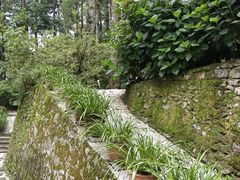 -寂照庵