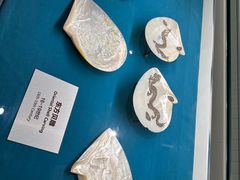 -青岛贝壳博物馆