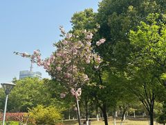 -桐乡植物园