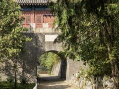 -云岗森林公园