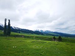 -新疆那拉提国家旅游度假区
