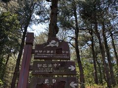 -四明山国家森林公园