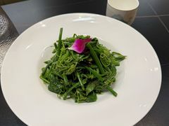 -鸽鸽小垸(长椿街店)