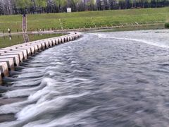 -洨河生态公园