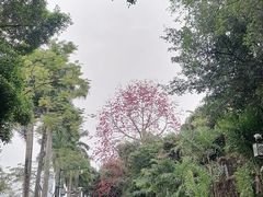 -南宁南湖公园