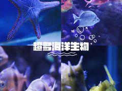 -重庆欢乐海底世界