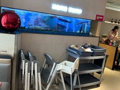 -老板恋上鱼(恒隆广场店)