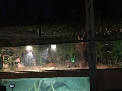 -清迈夜间动物园