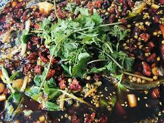 红汤黄辣丁-稻香村鱼庄