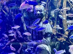 -华夏文旅海洋公园