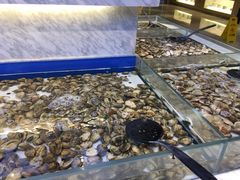 水产区-川骄海鲜自助(河东店)