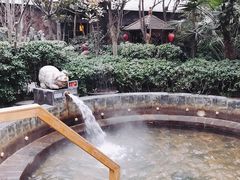 -西安国际创新人才交流中心•药浴温泉