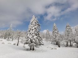 -大秃顶子山