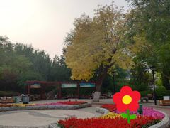 -ZING COFFEE 镜咖啡