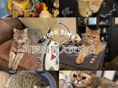 -美联众合动物医院·24h转诊中心
