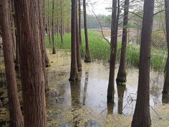 -云龙湖旅游景区