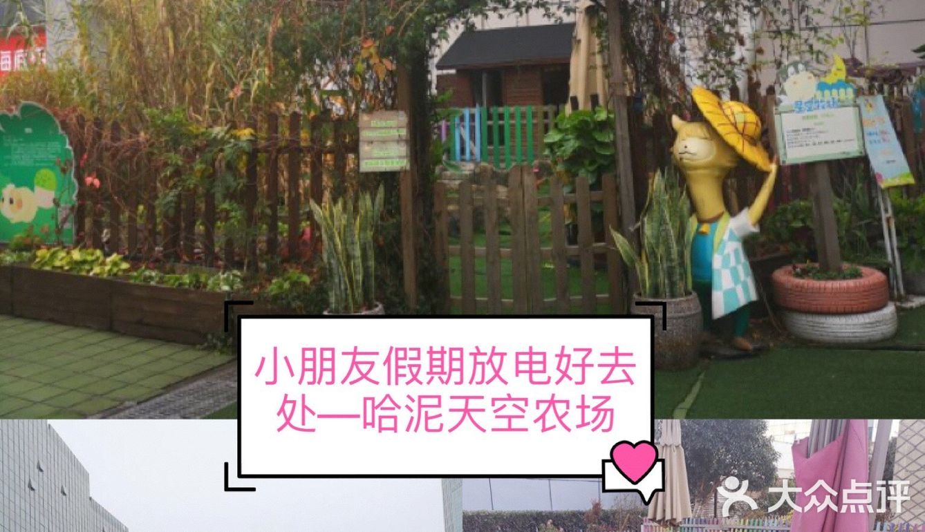 小朋友放电好去处—哈泥天空农场