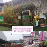 小朋友放电好去处—哈泥天空农场