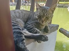 -西园戒幢律寺