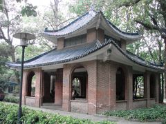 -中山大学学者灵芝(园南路店)