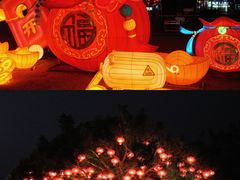 -万绿园