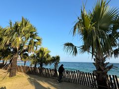 -大梅沙海滨公园