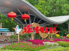-东平国家森林公园