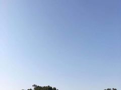 -桐乡植物园