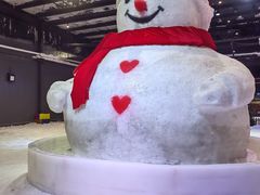 -宁波冰雪大世界(北仑区)