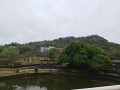-厦门国家会计学院
