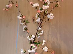 -新美姿美食水疗汇(罗湖口岸店)