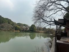-八大山人梅湖景区