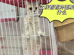 -暖阳宠物医院·犬猫康复中心·骨科