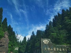 -武陵山森林公园