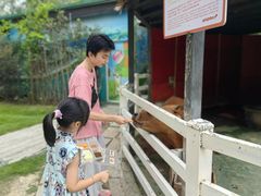 -合肥滨湖国家森林公园