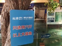 -坛宗剁椒鱼头(河西王府井店)