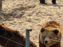 -秦皇岛野生动物园
