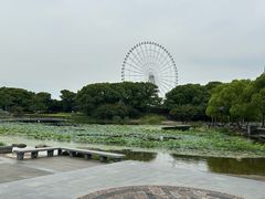 -蠡湖大桥公园