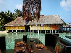 -泰妃殿(宏伊国际广场店)